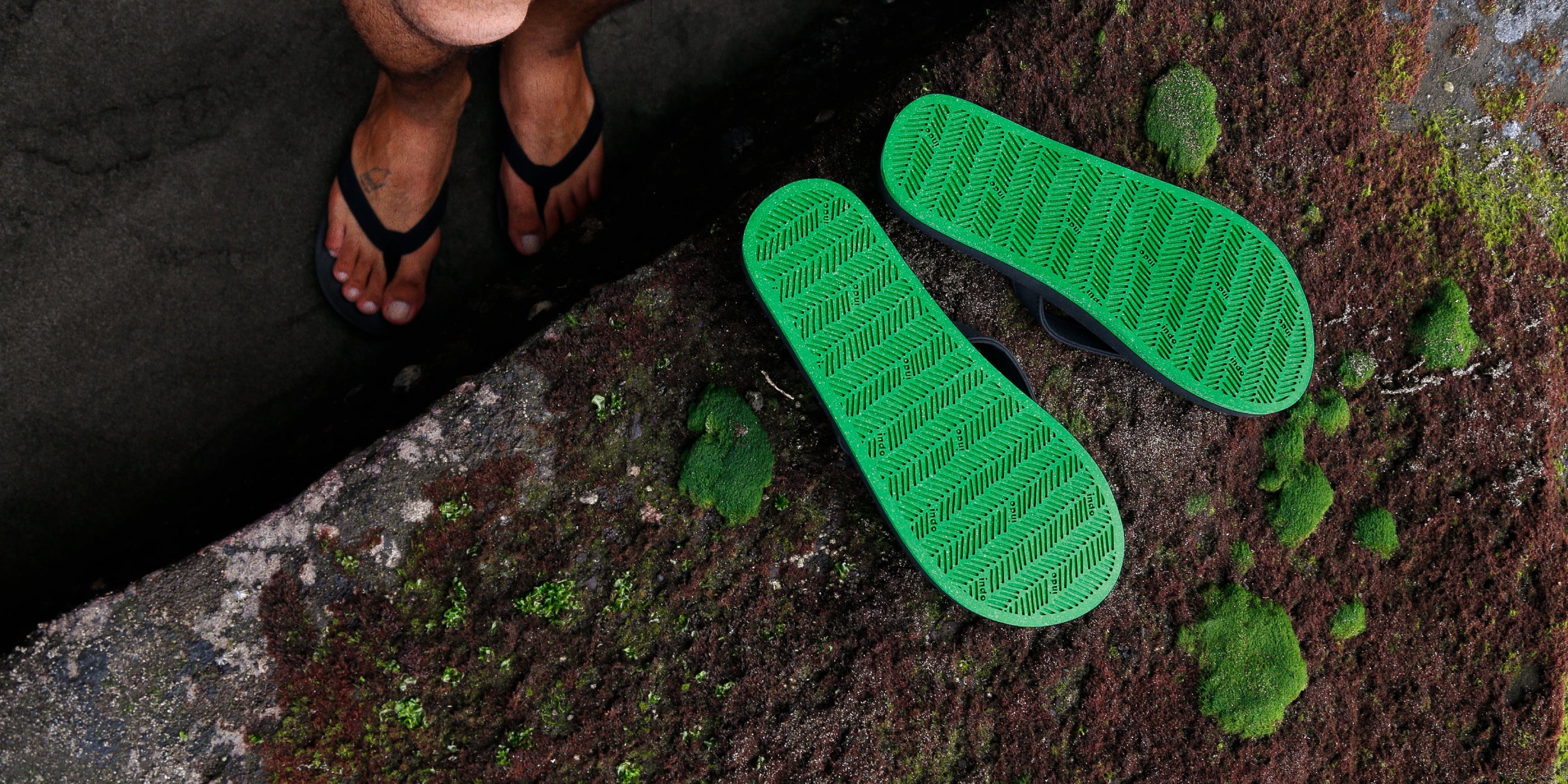 Sneaker Sole Collection