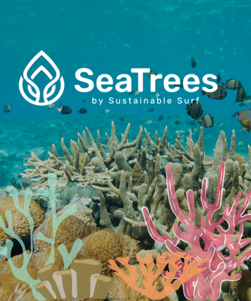 Growing underwater forests with Sea Trees