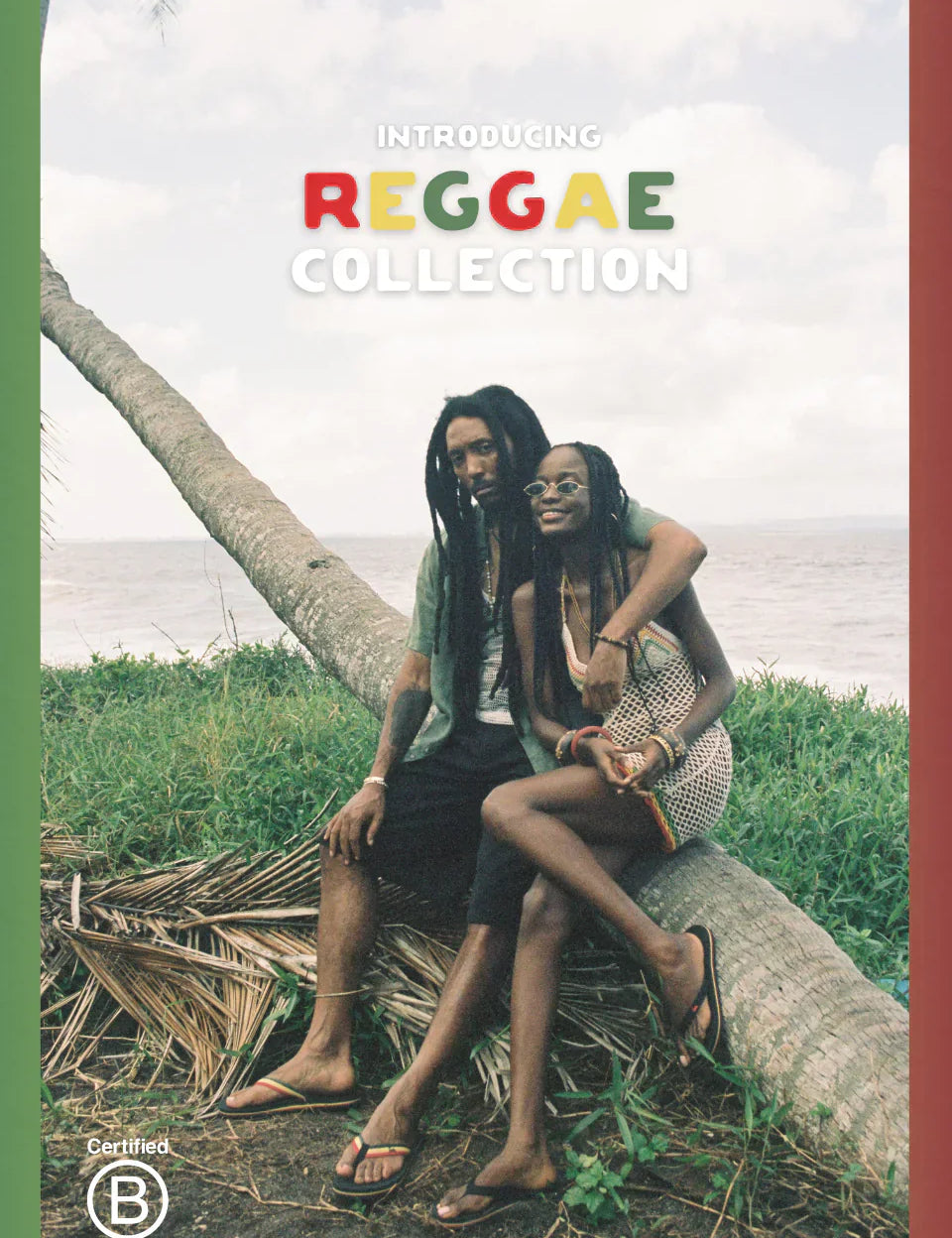 Rooted in Rhythm: The Story Behind the Reggae Collection