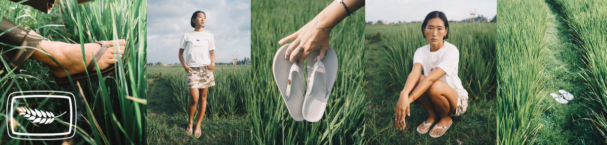Women's Easy Living Flip Flops - Gabah